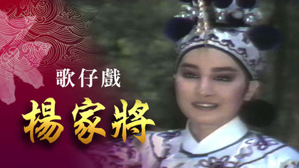 楊麗花歌仔戲－楊家將