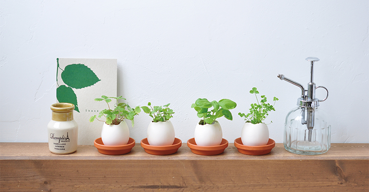 粉 小草莓植物栽培蛋eggling Ttv Ishopping