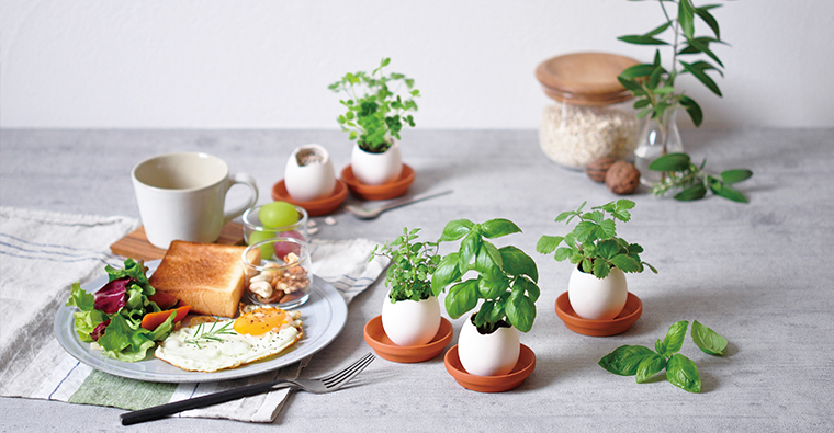 Eco Eggling植物栽培蛋 野草莓 環保友善包裝 Ttv Ishopping