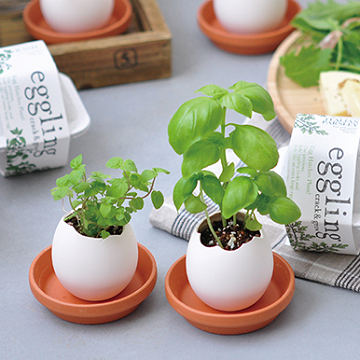 Eco Eggling植物栽培蛋 薄荷 環保友善包裝 Ttv Ishopping
